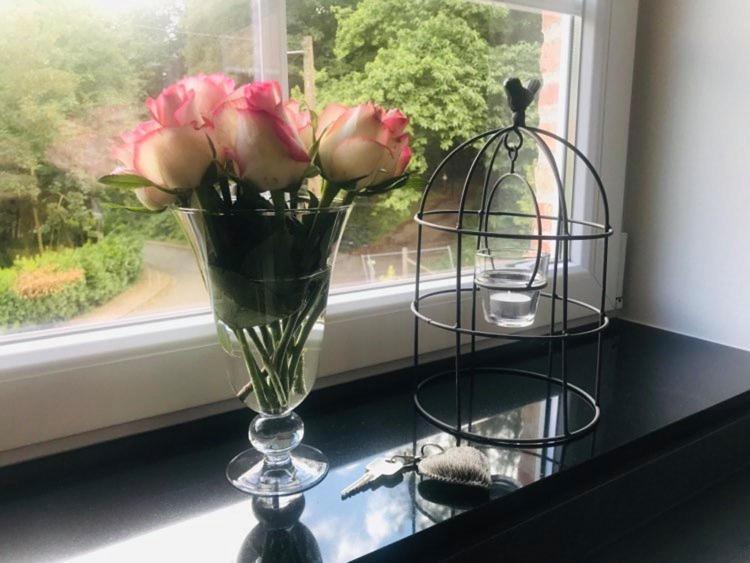 Vakantiewoning D'Hoppe Flobecq Eksteriør bilde